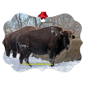 tree ornament (4" x 3")-- snow bison