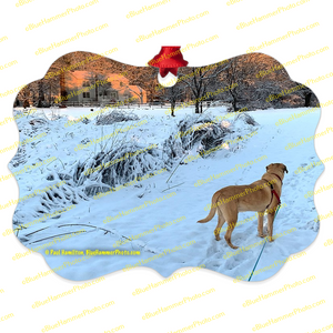 tree ornament (4 x 3")-- Long Valley, Patriots Path