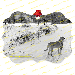tree ornament (4 x 3")-- Long Valley, Patriots Path
